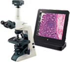optical microscope with monitor